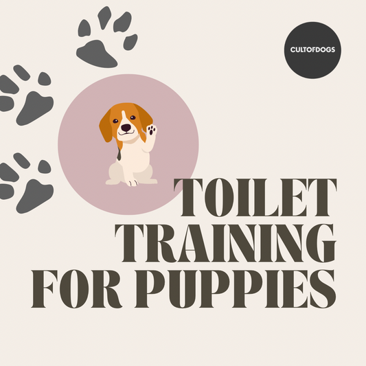 Successful Puppy Potty Training: A Step-by-Step Guide