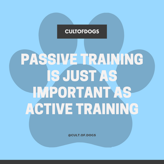 The Power Of Passive Training