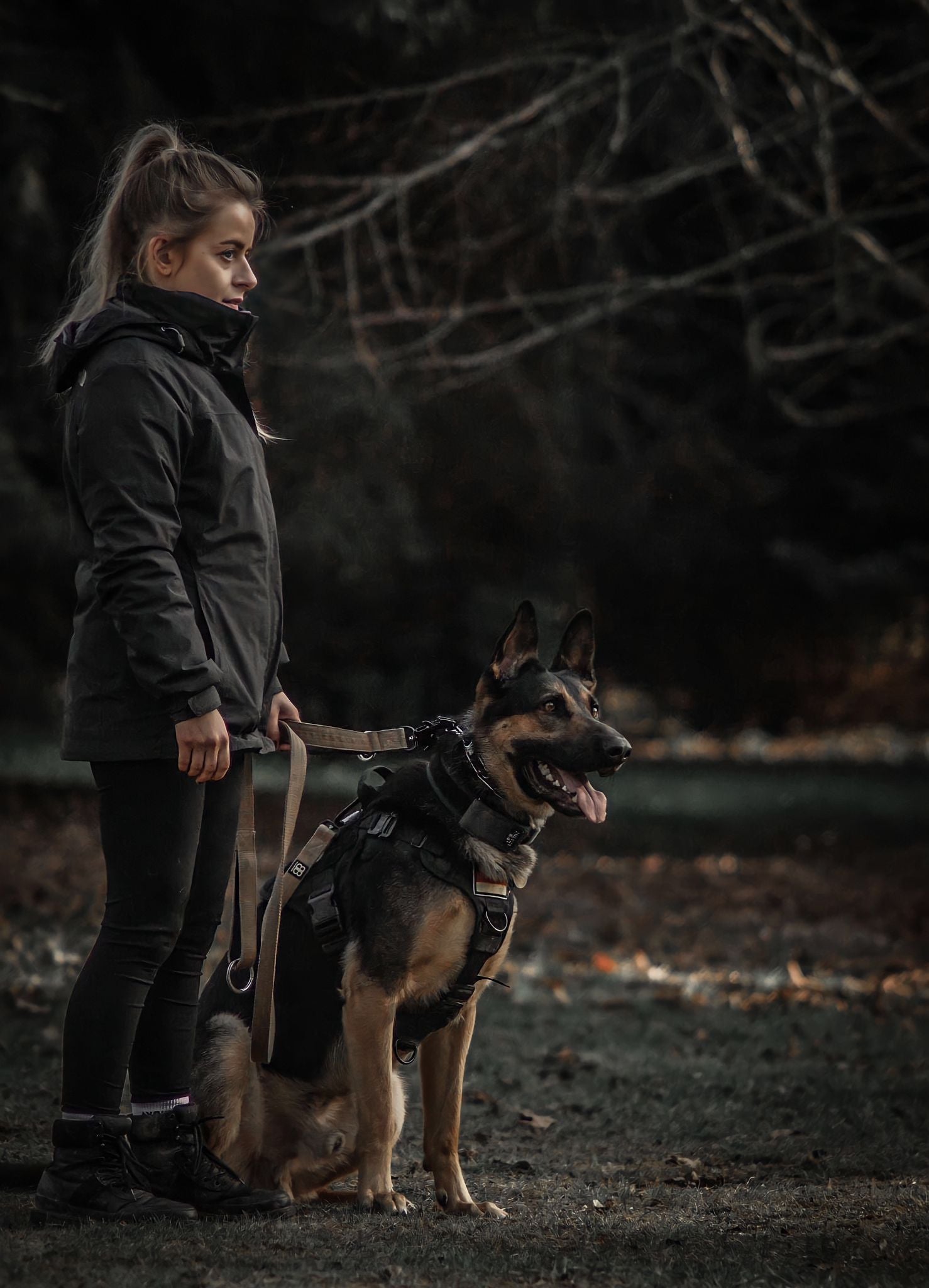 Dog and Puppy Training in Essex, Surrey, Berkshire and Hertfordshire.