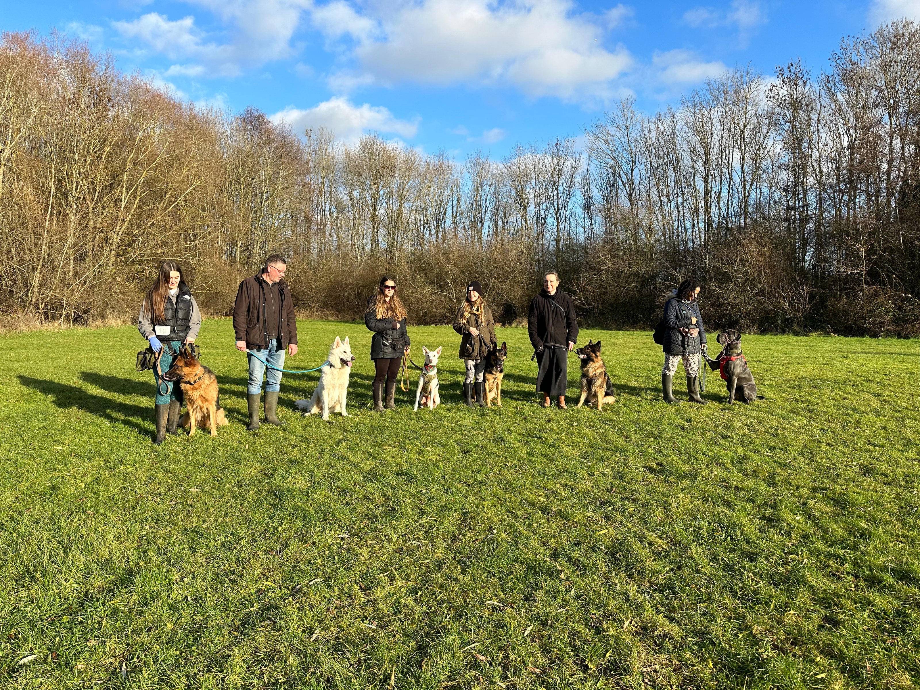 Dog and Puppy Group Walks and Training in Surrey, Essex, Berkshire and Hertfordshire.